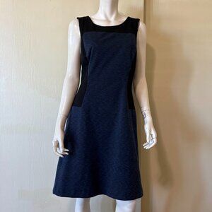 Ann Taylor Dress 10